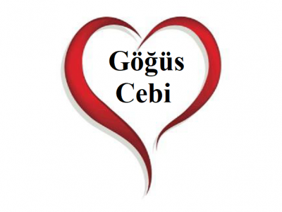 Göğüs Cebi